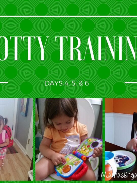 potty training days 4 5 6