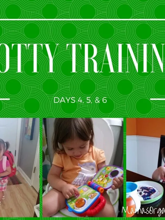 potty training days 4 5 6