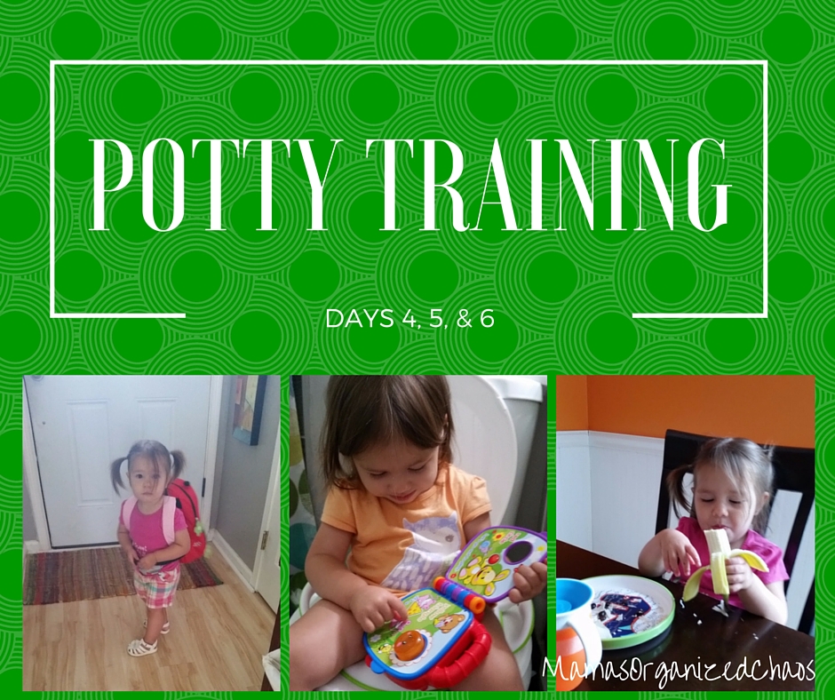 OFFICIAL POTTY TRAINING DAYS 4, 5, 6 and BEYOND