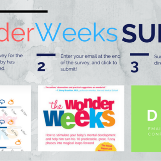 wonder weeks book review