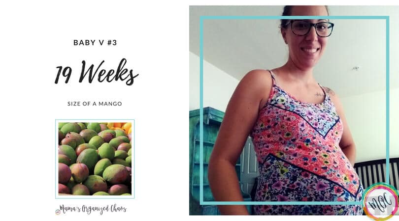 19 Week Pregnancy Update Third Baby Symptoms And Emotions At This Point In The 19 Week Pregnancy Update Third Baby Symptoms And Emotions At This Point In The