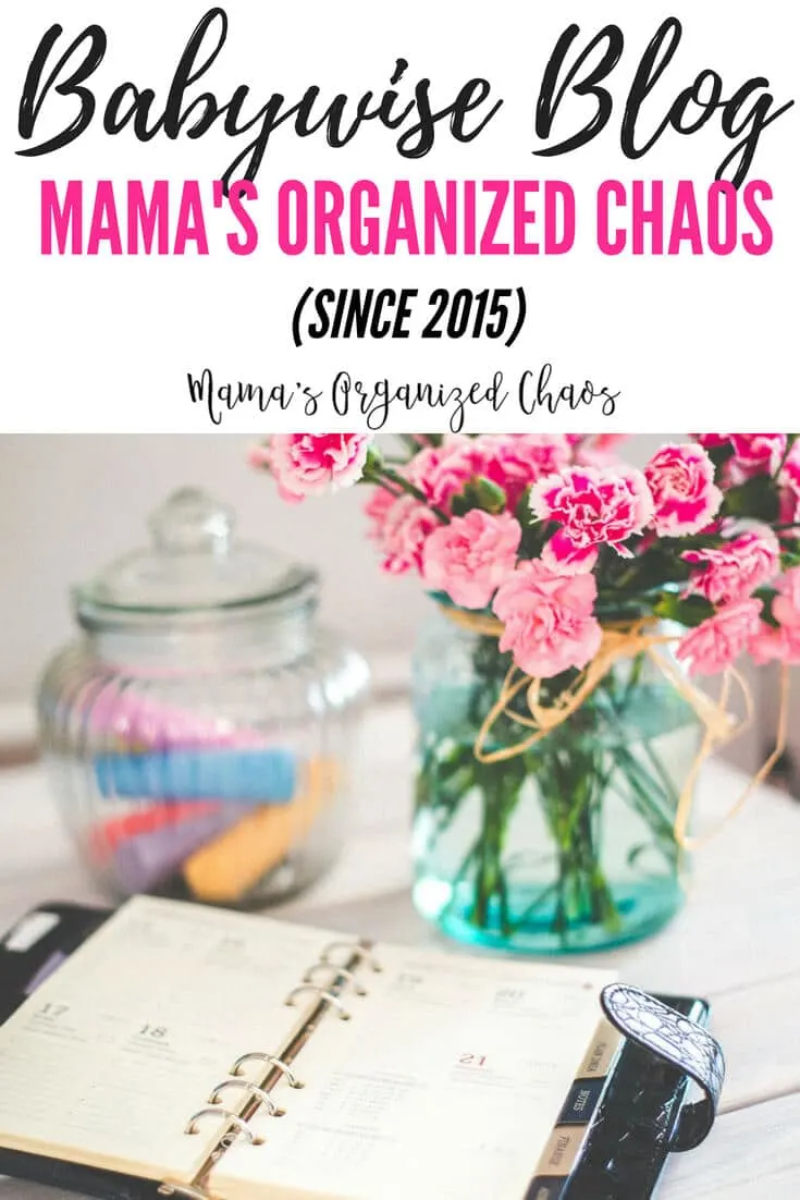 A babywise blog- Mama's Organized Chaos