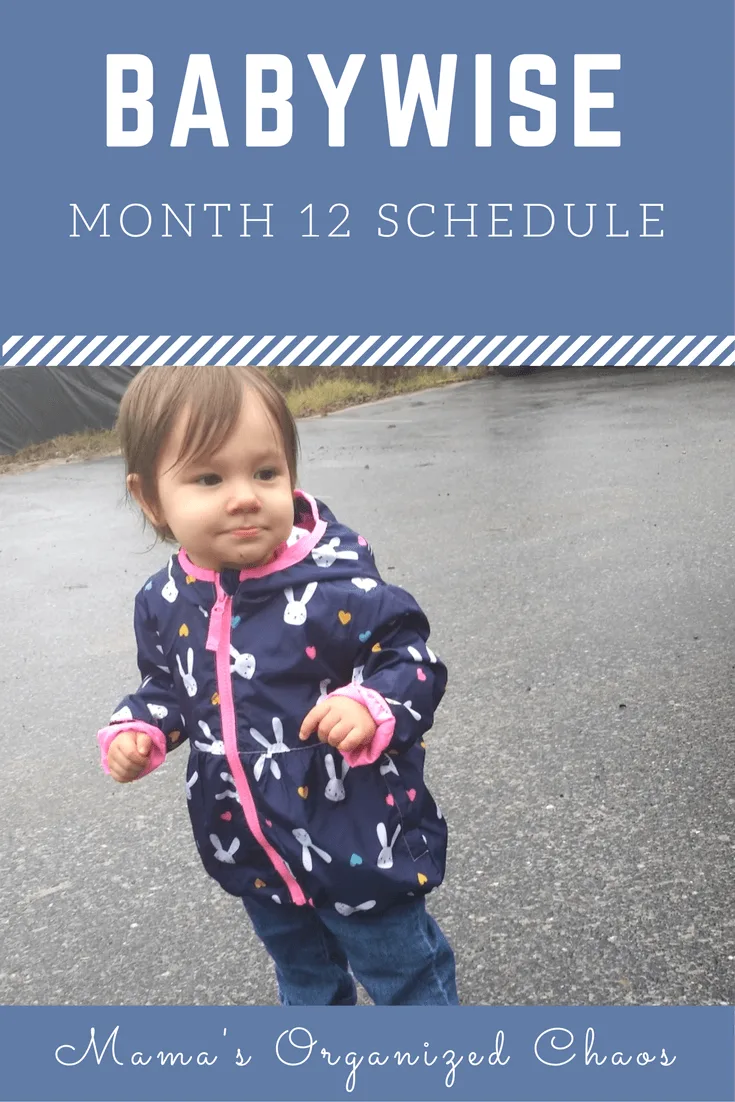 Babywise schedule month 12: for baby around 12 months of age. On this page you’ll find schedules, information on naps, nighttime sleep, and more!
