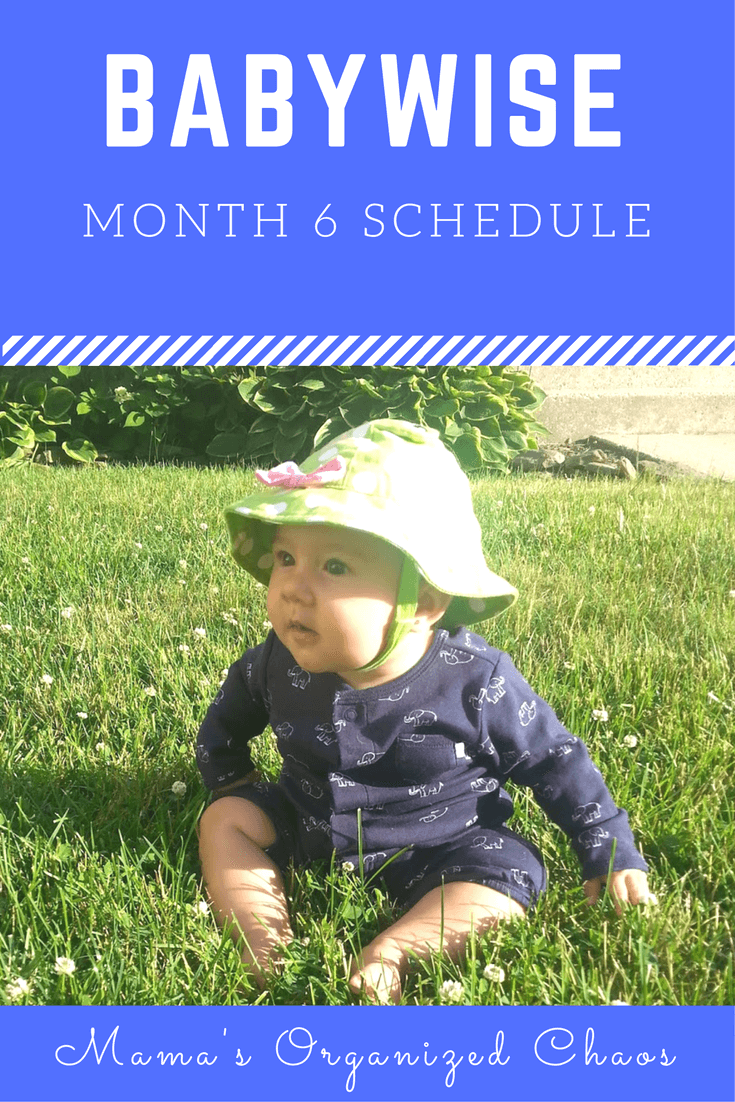 Babywise schedule month 6: for baby around 6 months of age. On this page you'll find schedules, information on naps, nighttime sleep, and more!