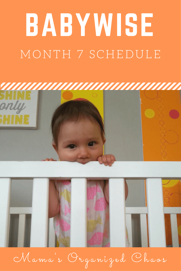 Babywise schedule month 7: for baby around 7 months of age. On this page you'll find schedules, information on naps, nighttime sleep, and more!