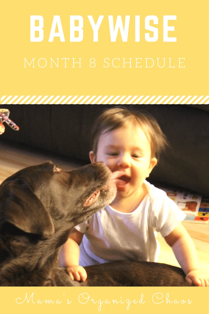 MONTH 8 SCHEDULE Babywise schedule month 8: for baby around 8 months of age. On this page you’ll find schedules, information on naps, nighttime sleep, and more!