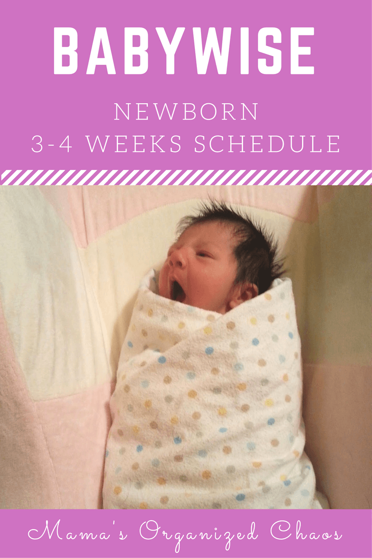 Babywise Schedule Chart