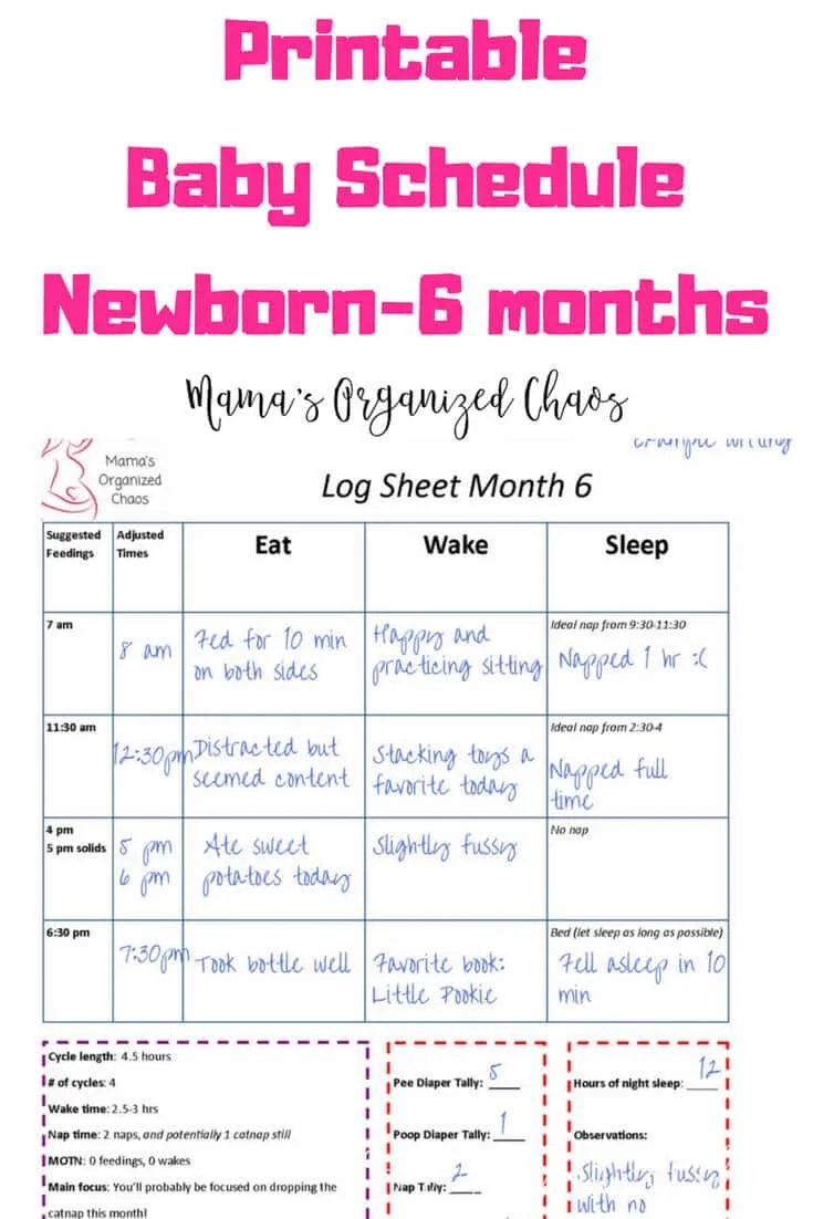 Printable Schedules Chart for Newborn to 6 months