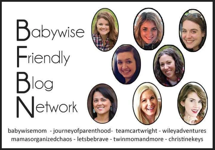 Babywise Friendly Blog Network Bloggers and information