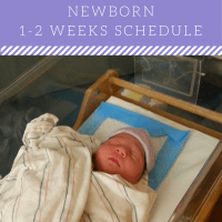 NEWBORN (1-2 WEEKS) SCHEDULE