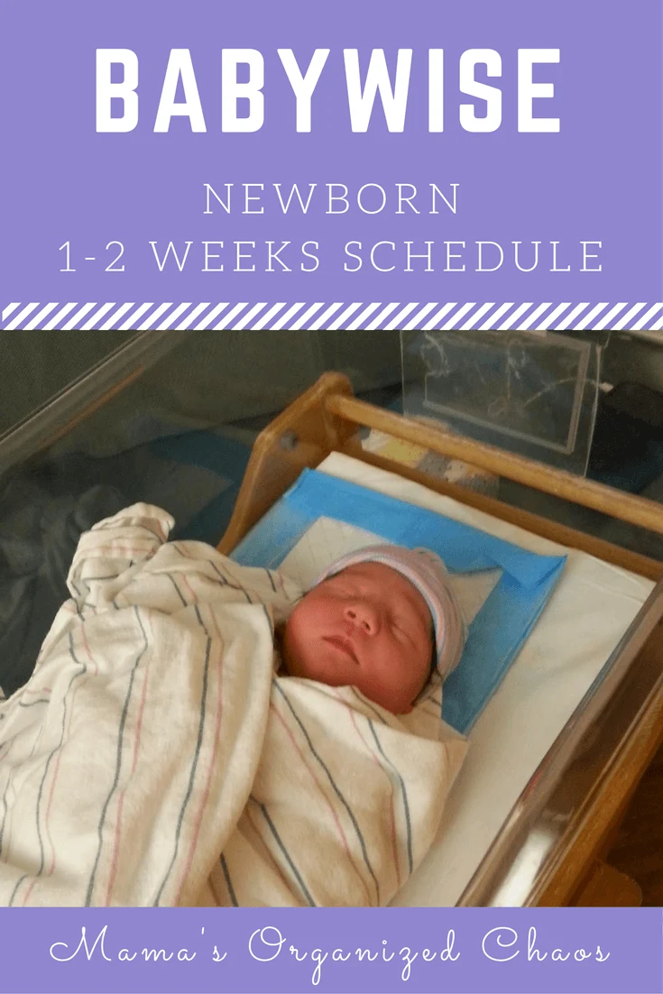 Newborn lying in bassinet at the hospital. Newborn 1-2 weeks schedule information for Babywise.