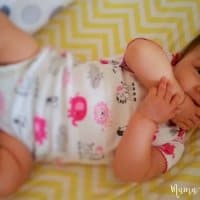 Sample Baby and Toddler Schedules