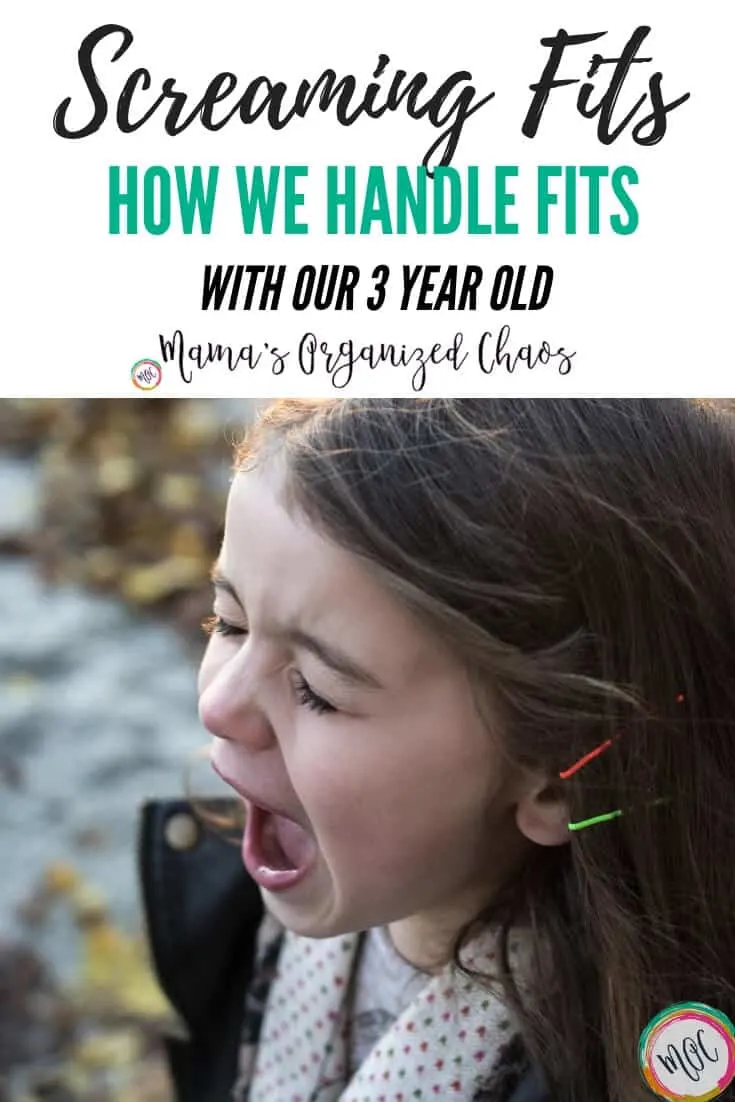 How We Handle Screaming Fits With Our 3 Year Old