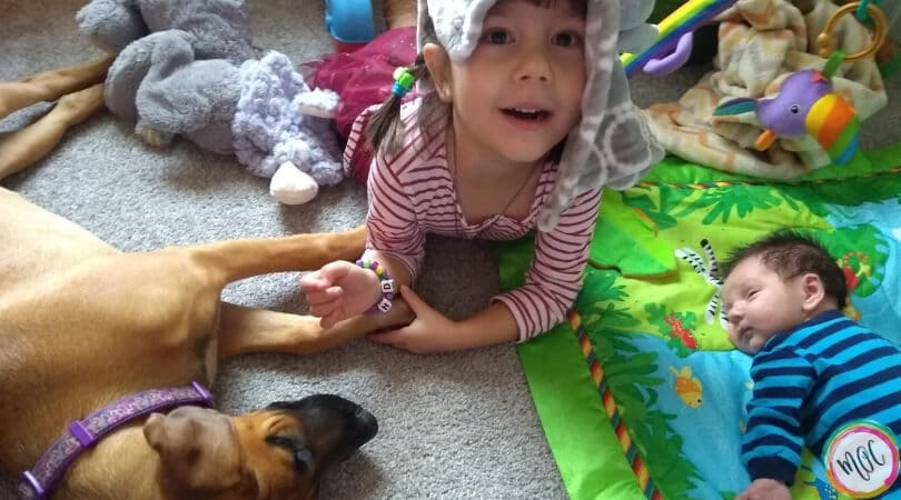 4 Year Old Schedule & Update 4 year old schedule and update