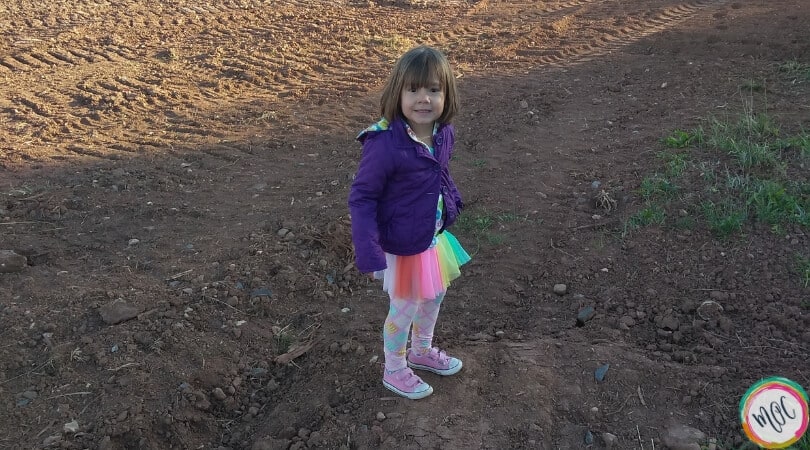 4 Year Old Schedule Update Mama s Organized Chaos 4-year-old-schedule-update-mama-s-organized-chaos