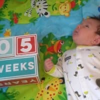 William's Week 5 Schedule and Update