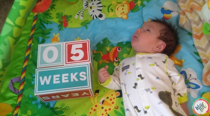 babywise 5 week schedule and update