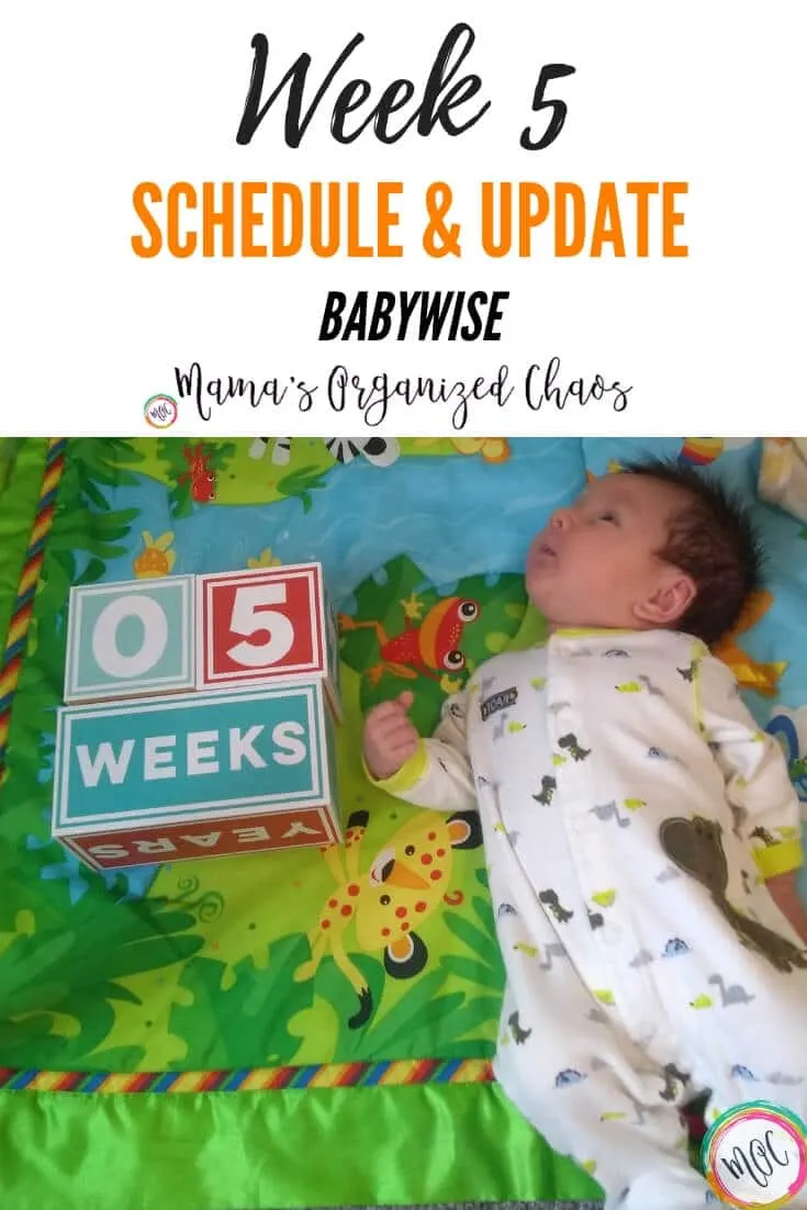 babywise 5 week schedule and update