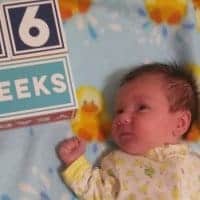 Week 6 Schedule and Update
