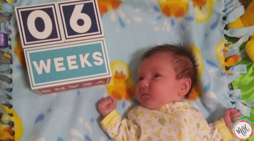 babywise 6 weeks schedule and update