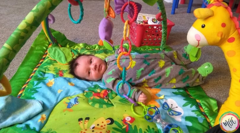 William’s Week 7 Schedule & Update William’s Week 7 Schedule & Update