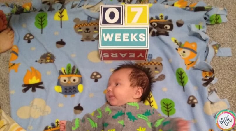 Babywise shop week 7