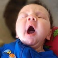 William's Week 8 Schedule and Update