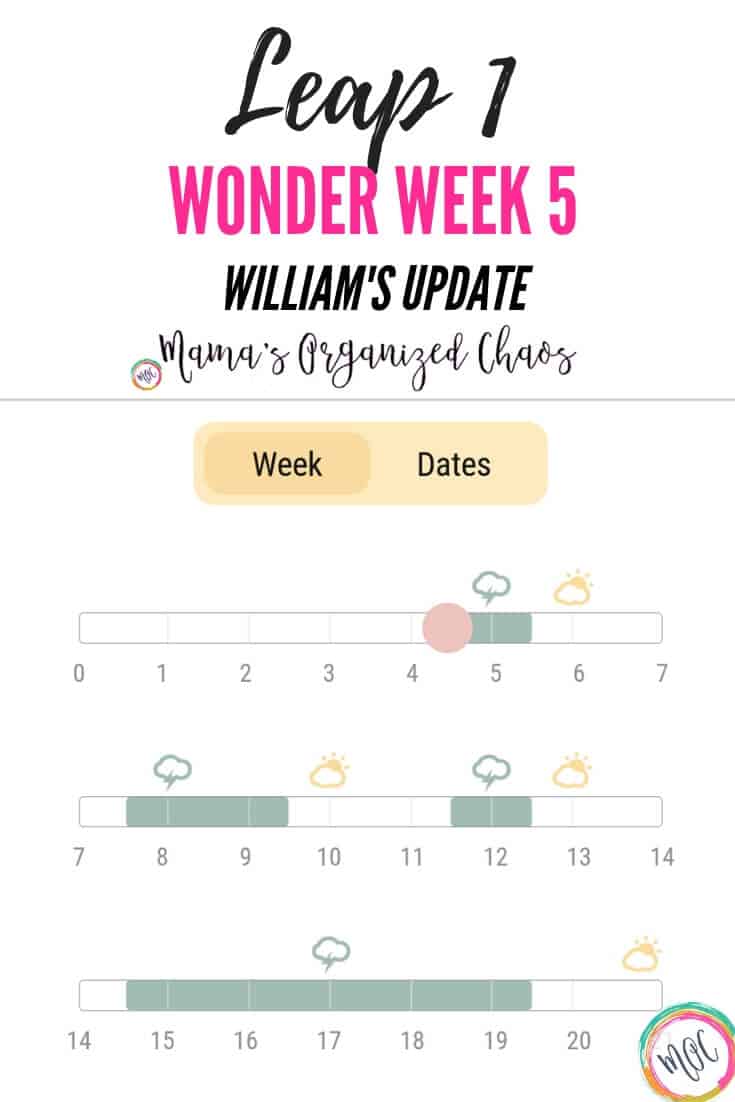 Wonder Weeks Chart