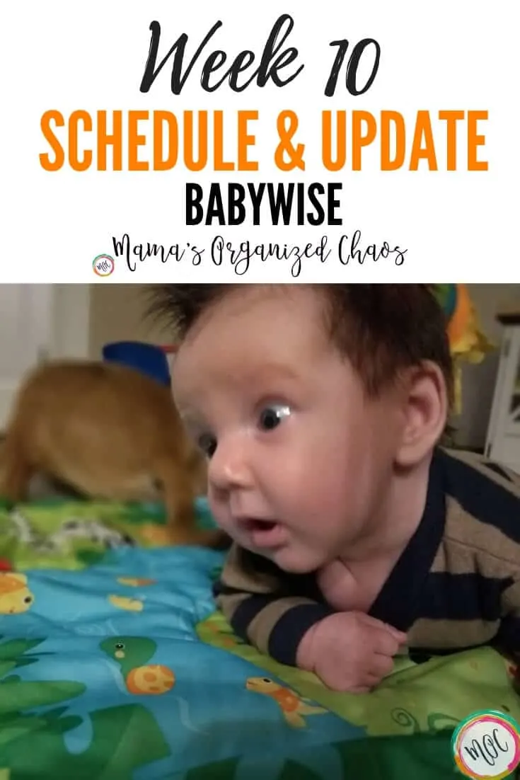 week 10 babywise schedule and update