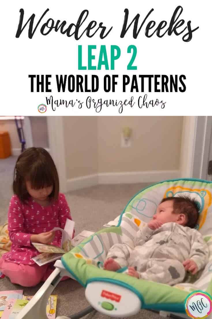 wonder weeks leap 2