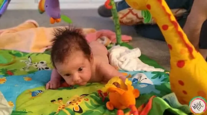 Wonder Weeks Leap 2 wonder weeks leap 2