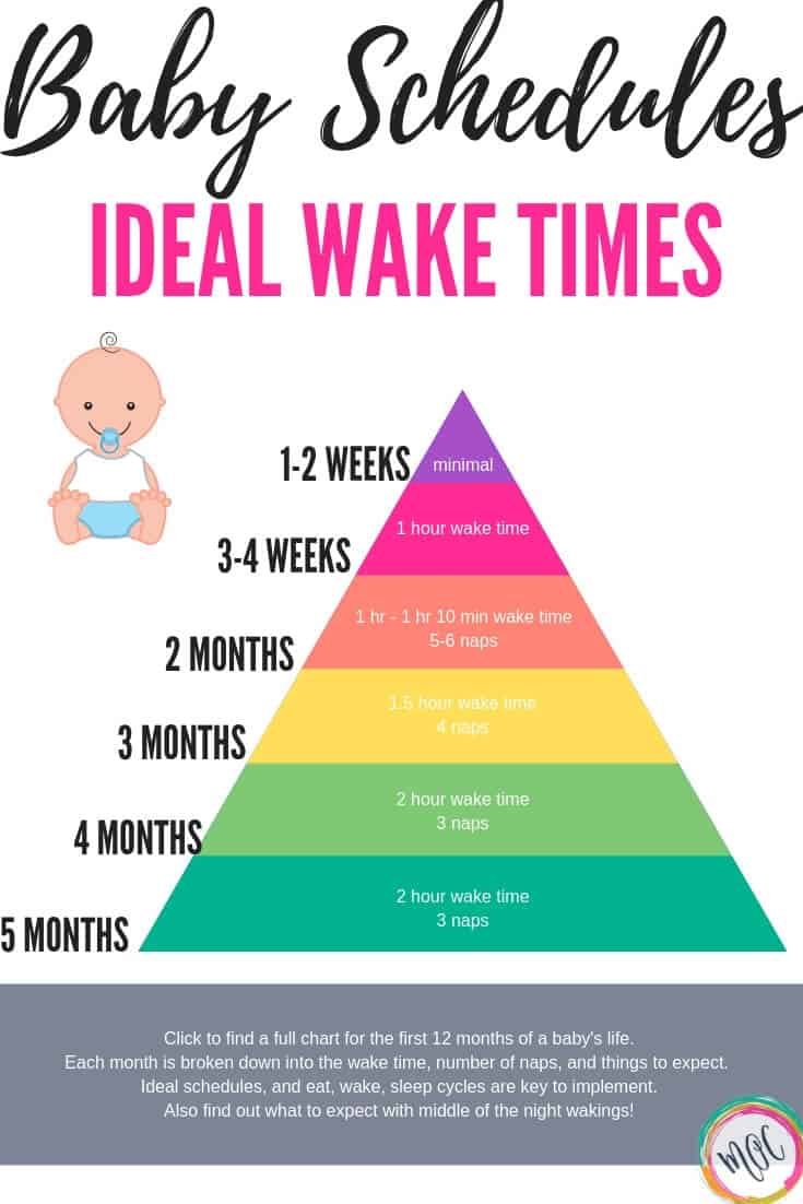 Baby Wake Time Chart