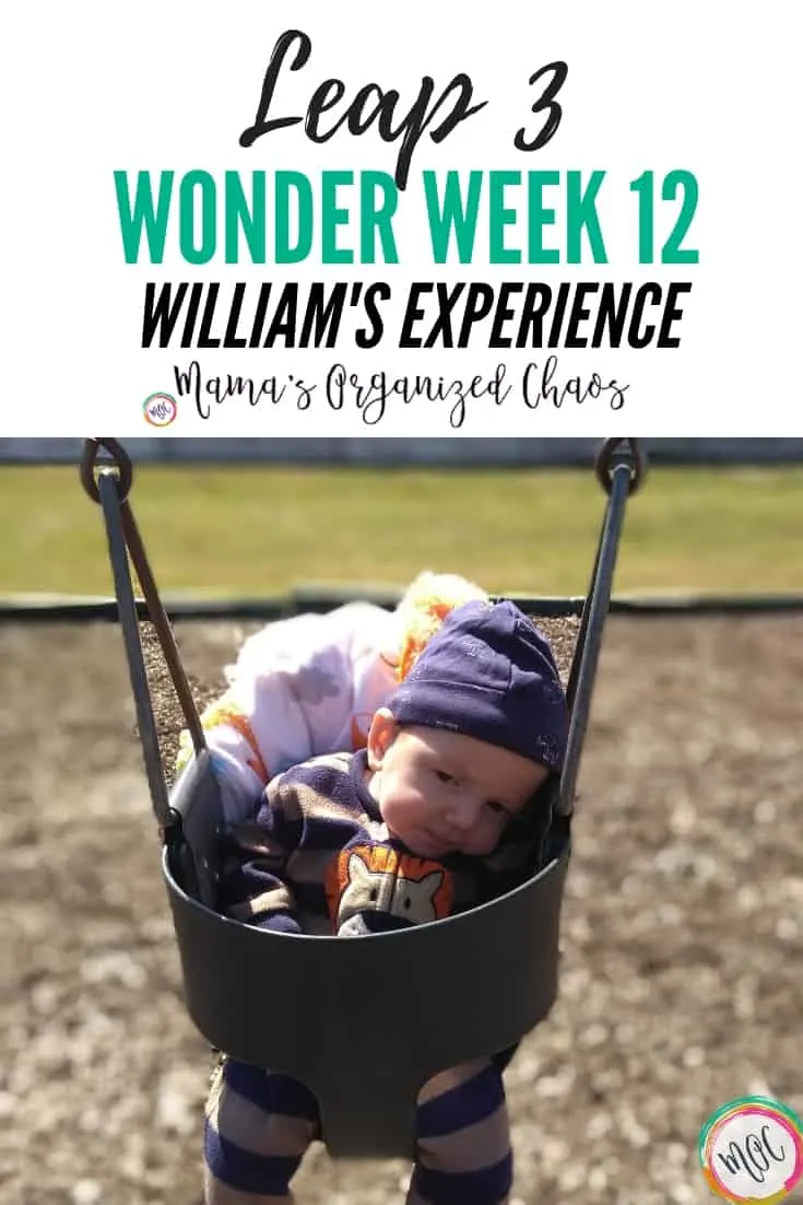 Wonder Weeks Leap 4