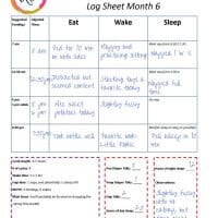 Printable Parenting Tools: Newborn to 6 Month Schedule