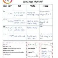 Printable Parenting Tools: Newborn to 6 Month Schedule