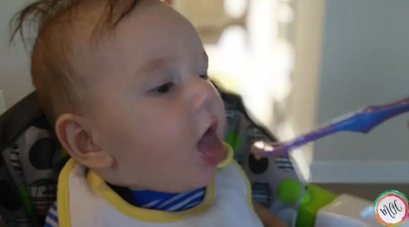 William’s 6 Month Old Schedule 6 month old eating solid purees