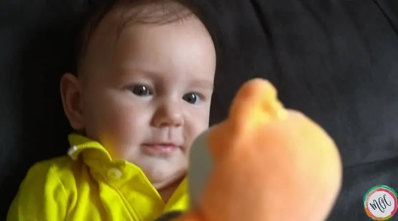 6 month old looking at stuffed animal