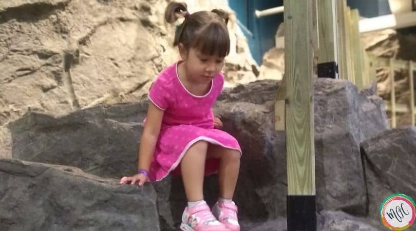 Highly Sensitive Child Parenting Strategies highly sensitive child parenting strategies