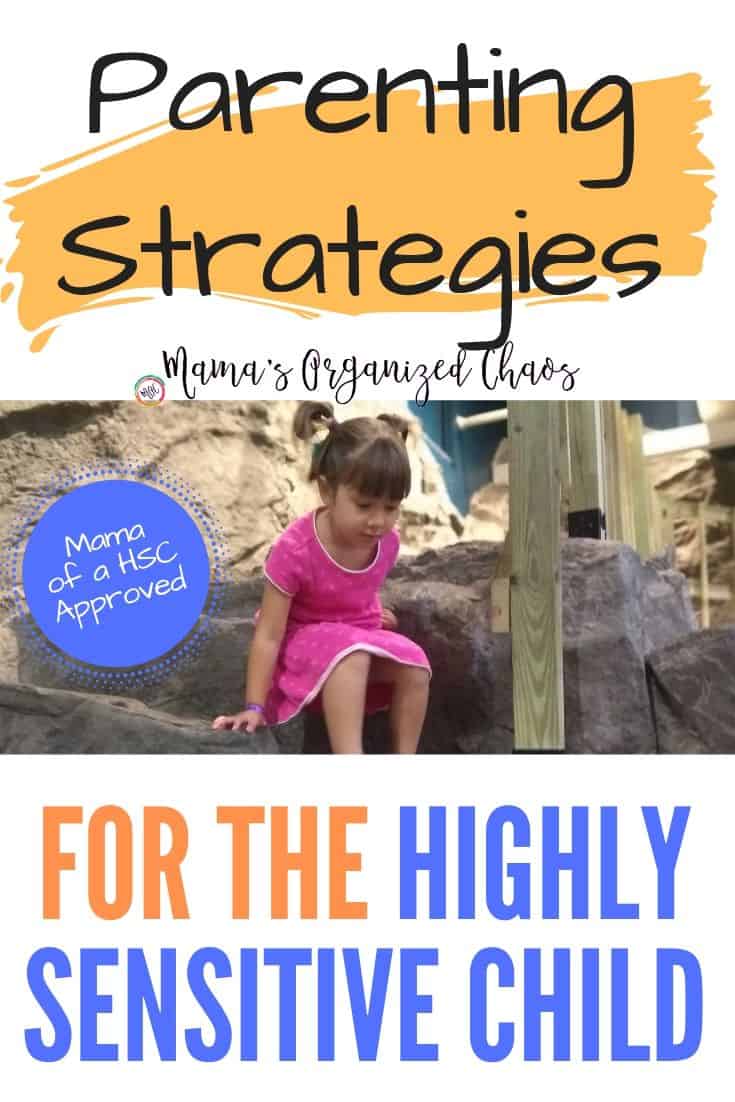 Highly Sensitive Child Parenting Strategies parenting strategies for the highly sensitive child