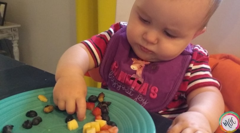 10 Month Baby Schedule 10 Month Baby Schedule