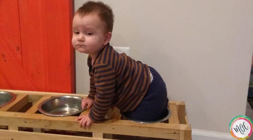 Happy 1st Birthday, My Sweet Boy happy 1st birthday