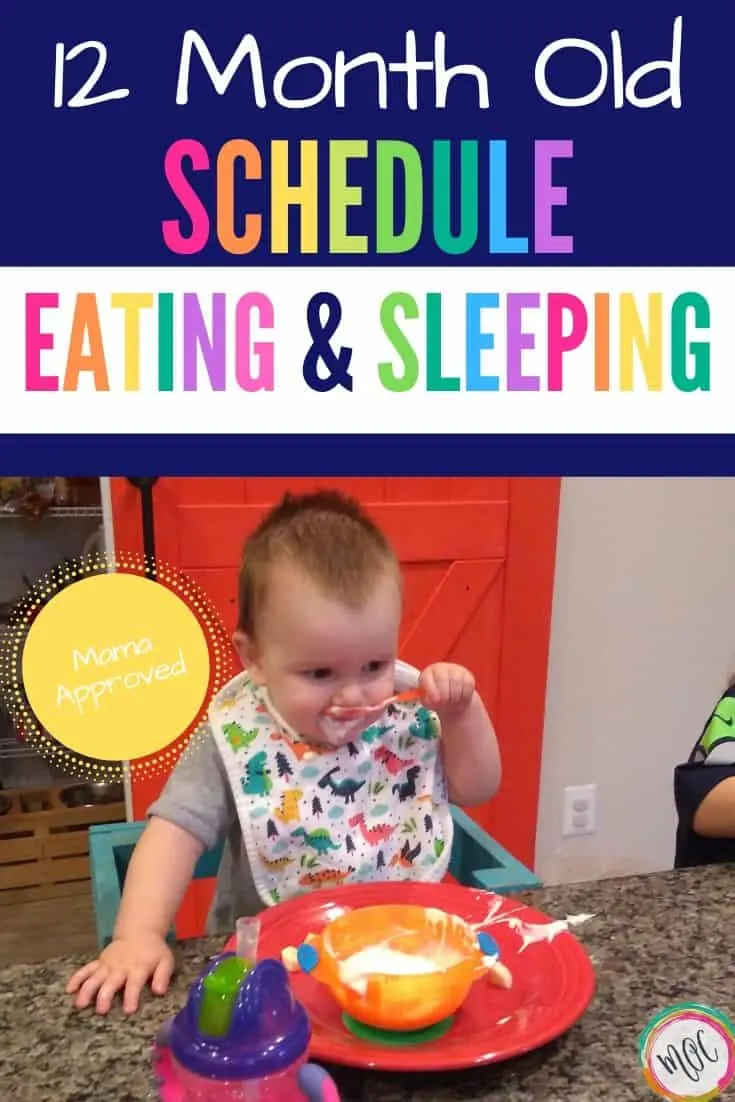 12 month old eating and sleeping schedule