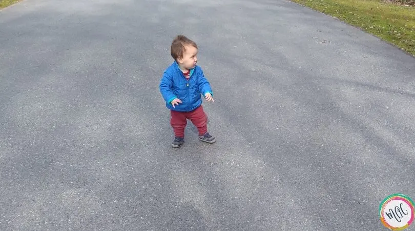 12 Month Sleep Regression 12 month sleep regression