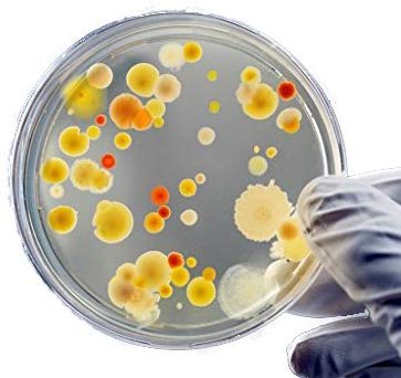 Teaching Children About Germs- Bacteria and Viruses Teaching Children About Germs- Bacteria and Viruses