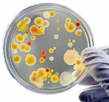 Teaching Children About Germs- Bacteria and Viruses Teaching Children About Germs- Bacteria and Viruses