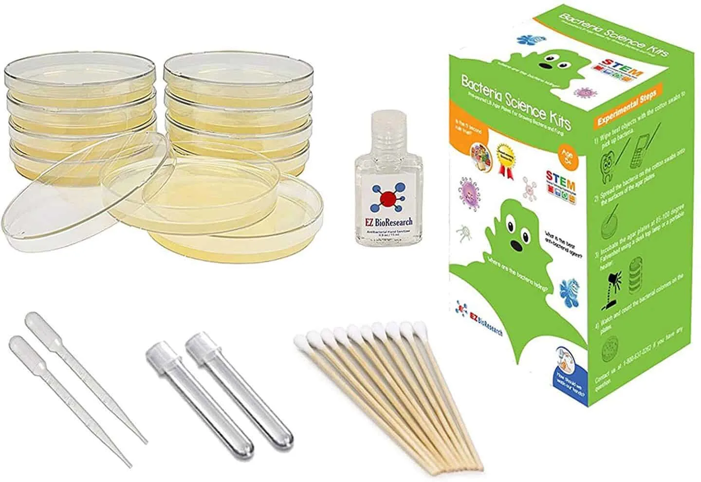 Teaching Children About Germs- Bacteria and Viruses Teaching Children About Germs- Bacteria and Viruses