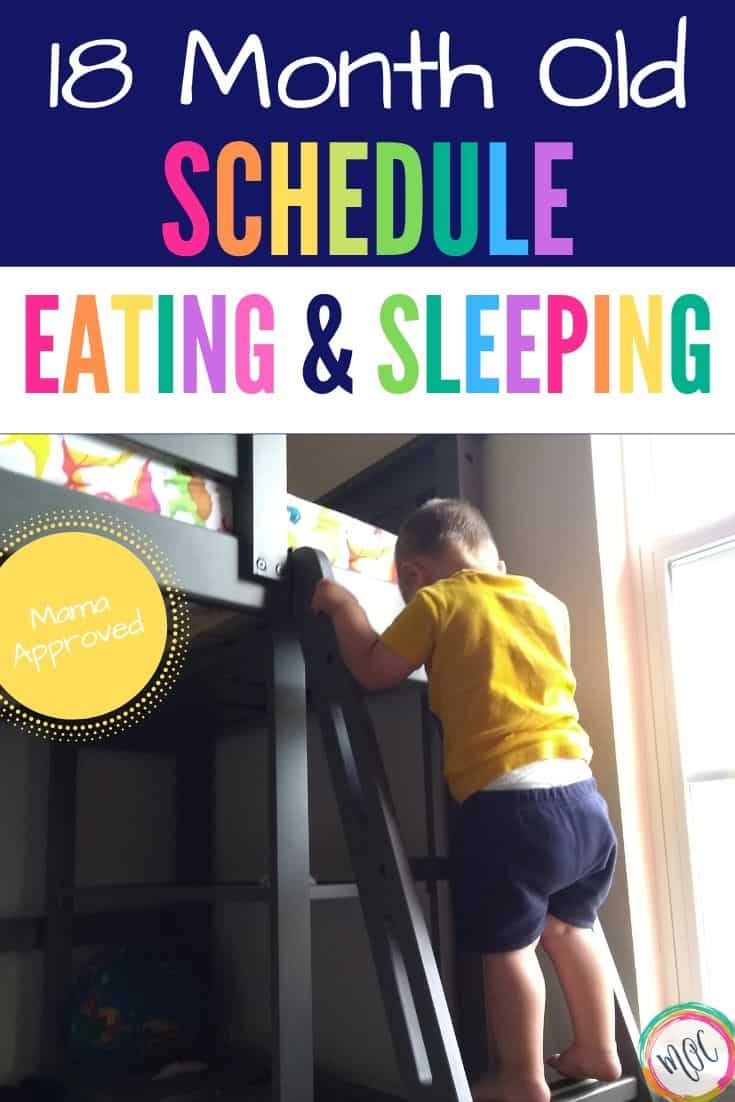 William’s 18 Month Update 18 month schedule and update