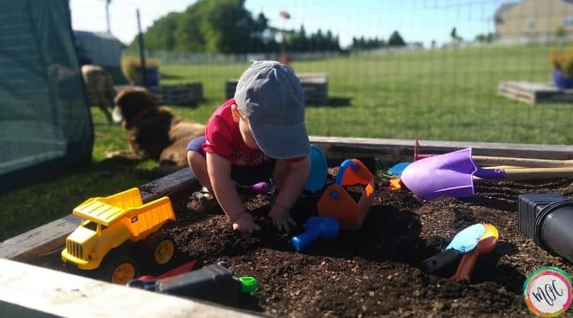 William’s 18 Month Update 18 month schedule and update