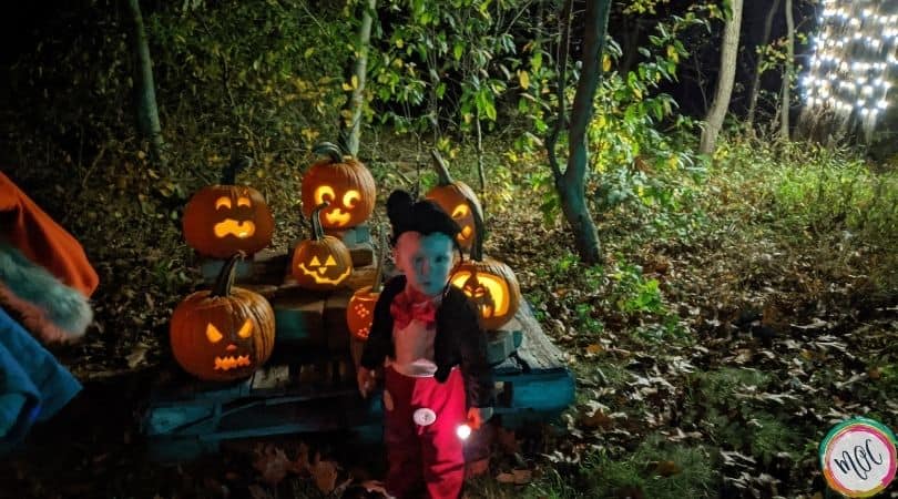 Halloween Activities to Do at Home