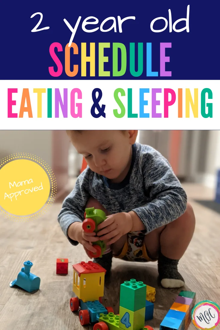 2 year old schedule